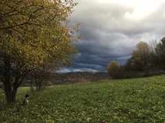 20181030-001