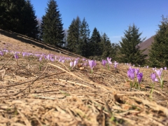 20190415-004