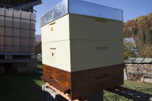 Bee hive in the autumn